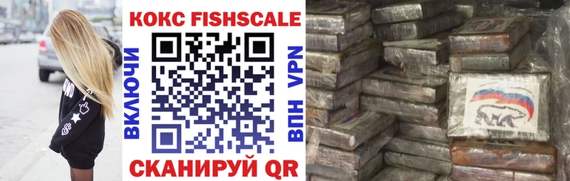 OMG как зайти  Ессентукская  Кокаин Fish Scale 