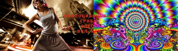 СК Абинск