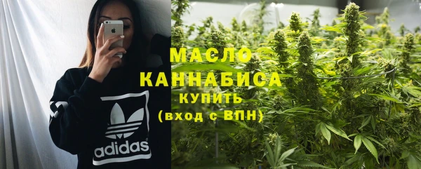 крисы Надым