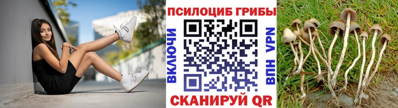 Галлюциногенные грибы MAGIC MUSHROOMS Ессентукская
