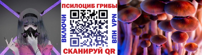 Псилоцибиновые грибы мухоморы  Ессентукская 